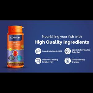 Intan Bits 🐠 Player Choice Fish Food For Fish Like Discus Danios Barbs & Rainbow