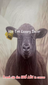 Bộ Sưu Tập Bản Lĩnh Khác Biệt | Tranh Canvas Cừu Đen Nghệ Thuật Hiện Đại Treo Phòng Khách Văn Phòng Decor Cao Cấp