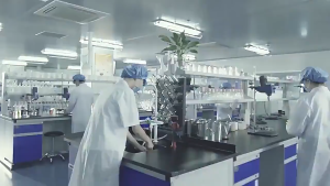 Miếng Dán Thảo Dược Đông Y Giảm Ù Tai Đau Tai Nghe Kém – Kích Thích Huyệt Đạo [Hộp 10 Miếng]