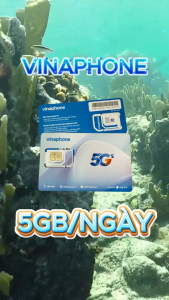 Sim/eSim Du Lịch Vinaphone TR60 Tặng 5GB/Ngày – Data Tốc Độ Cao Cực Mạnh – Miễn Phí 10 Ngày – Phủ Sóng Toàn Việt Nam | FREESHIP - CHƯA KÍCH HOẠT