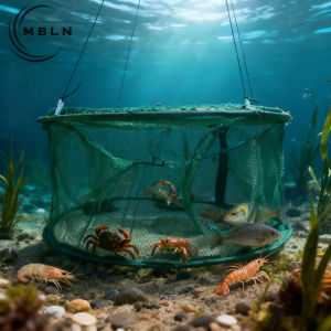 กับดักตกปลาแบบพับได้ 50 ซม. – ตาข่ายดักปลา กุ้ง ปู แบบป๊อปอัพอัตโนมัติ 5 ช่องทางเข้า แบบพับเก็บได้ สำหรับแม่น้ำ ทะเลสาบ และปลาทะเล