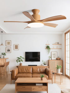 KAIYE | Intelligent Quiet Ceiling Fan Light