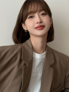 Retro Womens Earrings 2025 New Popular Silver Jewelry Design  out ness Small Audience Design Sense Horn Bag Circle