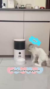 5L เครื่องให้อาหารอัตโนมัติ Smart Pet Feeder ระบบจ่ายไฟสองทาง เครื่องให้อาหารอัตโนมัติมีกล้องตรวจจับ AI ที่ให้อาหารสัตว์เลี้ยง สุนัขชามข้าว ที่ให้อาหารสัตว์อัตโนมัติ แมว