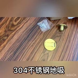 Stainless Steel 304 Strong Magnet Anti-Collision Door Catch