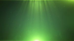 แอมโปร18 ชนิดน้ำ วิตามินบำรุงพืชเพิ่มการเจริญเติบของกิ่ง ก้าน ใบ และเพิ่มรสชาติของผลผลิต