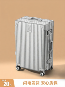 ZSO | Lightweight Travel Luggage 20 inch