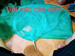 Vợt bắt cào càochâu chấu mắt lưới 1 ly