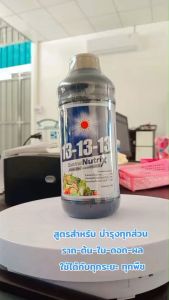 ปุ๋ยน้ำ 13-13-13 สูตรสำหรับบำรุงได้ทุกช่วง ทุกระยะของพืชสูตรเข้มข้น บำรุง ต้น ดอก ผล ขยายขนาดใบ ใบเขียว ใบหนา ขยายผล ขนาด 1 ลิตร ดวงตะวันเพชร