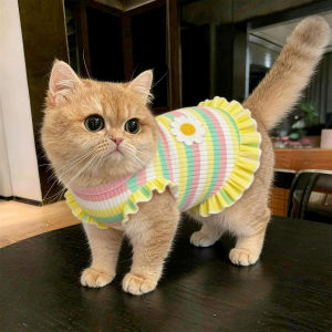 Anti-Shedding Breathable Pet Clothing