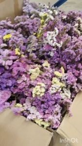 ดอกไม้แห้ง บรรจุ 1 กล่อง Dried Flowers 1 box - ตกแต่งเทียนหอม ตกแต่งก้านไม้หอม