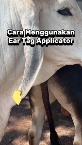 🔥100 pcs Plain & Numberred Cow Ear Tags🐄Tag Telinga Lembu🔥Pelbagai Warna🔥Ear Tag Applicator Plier 🐄Alat PenindikTelinga🐄