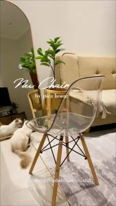 PIRA - BERN DC Kursi Makan Transparan / Kursi Cafe Transparan / Kursi Belajar / Kursi Santai / Kursi Plastik