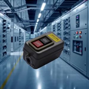 On/Off Push Button Switch Self Locking 3P On/Off Power Push Button Switch 110/220/380V 15A BS216B