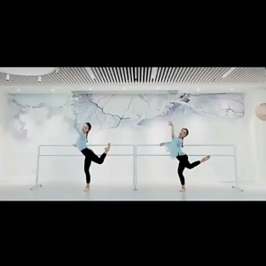 Ballet Bar Double Layer Ballet Barre Stretch Fitness Training Ballet Dance Bar For Home Gym Ballet Bar 100 cm