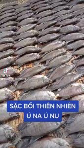 500G KHÔ CÁ SẠC  CÁ BỎI LOẠI NGON CÀ MAU-chế biến thành nhiều món ngon hấp dẫn hao cơm- Vựa Khô Minh Triết