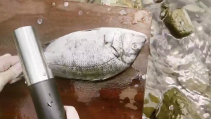 250W Portable Charging Cordless Charging Cordless Electric Fish Scale Remover Fish Scraper 魚鱗器刮刀 Automatic Fish Scale Removal Machine Household Fish Scale Fish Descaler Tool