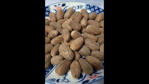 ลูกจันทร์เทศ สมุนไพร เครื่องเทศ ลูกจันทน์ ลูกจัน ลูกจันทร์ แห้ง สมุนไพรลูกจันทร์ สมุนไพรลูกจันทร์เทศ - Lazada