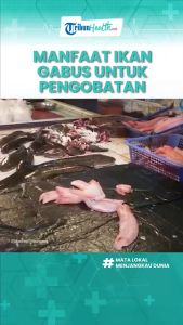 ALBUMINOS - Ekstrak Ikan Gabus Elbumin isi 60 kapsul Obat Penyembuhan Luka Dalam