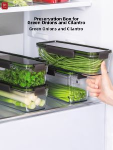Food-Grade Draining Refrigerator Freshness Box