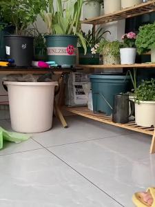 VOA | Quần Áo Làm Mát Chống Rụng Lông & Bẩn cho Chó & Mèo