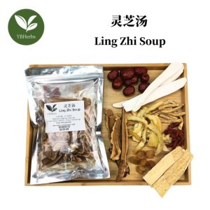 灵芝汤 Ling Zhi Soup 上咳平喘 补气安神 药材汤 Ling Zhi Tang 4-5 person Chinese Herbal Soup