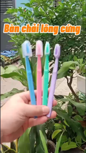 Combo 4 cây bàn chải đánh răng lông cứng Dr Happy có nắp đựng vệ sinh tiện đi du lịch hay về quê