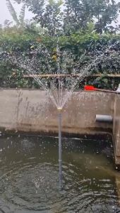 Đầu phun nước hình chùm phi 21mm phun nước nghệ thuật