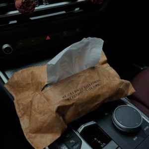 Home Use Waterproof Dupont Kraft Paper Tissue Box Wall Hanging Coffee Shop Dessert Restaurant Commercial Use Organizer