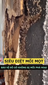 Chai Xịt Diệt Mối Mọt THÁI LAN GECKO 500ml Diệt Mối Cửa Gỗ Sàn Gỗ Tủ Quần Áo Tủ Bếp Tường Trần Nhà