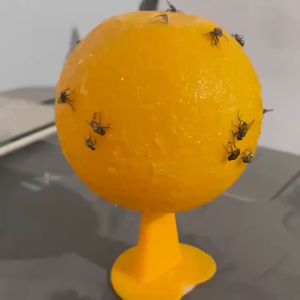 Fruit Fly Trap Sticky Fly Catcher Ball Pest Repeller Gnat Housefly Killer Fly Trap for Garden Tool