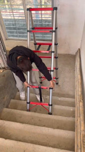 "IMBOT" 2 Meter Ladder