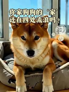 New Pet | All-Season Waterproof Dog Bed