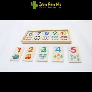 Đồ Chơi Giáo Dục Cho Bé Học Tập Đếm Và Nhận Biết Số Lượng Bằng Hình Ảnh Xương Rồng Nhỏ