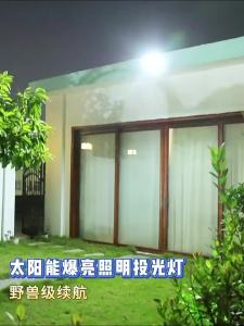 intelamp | Solar Induction Outdoor Light