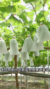 KOALA ถุงผ้าห่อผลไม้ 18*22cm / 20*30cm (มัดละ 50 ใบ) ห่อฝรั่ง น้อยหน่า ชมพู่ มะม่วง มะปราง อะโวคาโด ป้องกันแมลง ถุงผ้าสปันบอนด์ ใช้ซ้ำได้