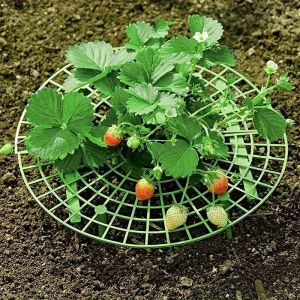2/4pcsQuick Assembly Vertical Strawberry Planter Multi-Tier Space-Saving Balcony Garden Stand