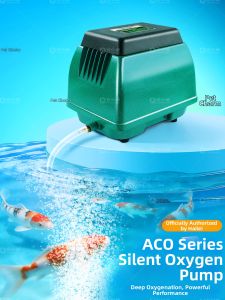 CHONGXIAOSHUAI | Silent High Power Oxygen Pump