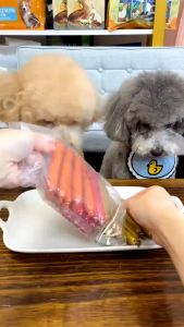 Petfirst 150pcs Dog Sausage with Box Pets Food Snack Beef Chicken Dog Training Sausage Dog Treats Pet Cat Treats Snacks