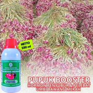 Pupuk Booster Bawang Merah Plus Anti Hama Obat Bawang Merah Pembesar Umbi Pupuk Pelebat Daun Bawang