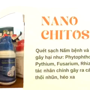 Nano Chitosan BioSun 5% 500ml – Chế Phẩm Sinh Học Cho Cây Công Nghiệp & Ăn Trái Giúp Phòng Nấm Hại