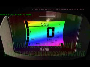 Easyride 150 RS Gauge Protector