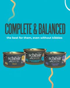 Pate Mèo Tiki Cat Schesir Top Đầu Mỹ Hộp 12 Gói Mix 4 Vị Dạng Mousse Cao Cấp