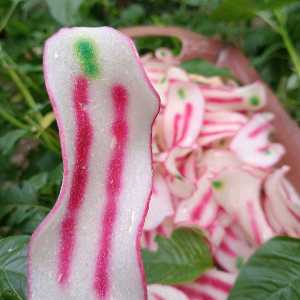 TERLARISSS 🔥🔥🔥COD 1KG KERUPUK SINGKONG LURIK/kerupuk singkong mentah/kerupuk sermier