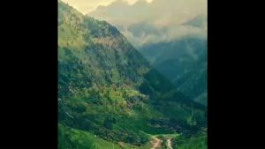 Zeal Dried Lamb Sticks ขนมสำหรับสุนัข เนื้อแกะนิวซีแลนด์อัดแท่งให้โปรตีนสูง ไขมันต่ำ ธรรมชาติ 100%