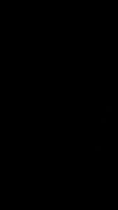 SANIYE L1223 LIP VELVET MOUSSE LIPSTICK LIQUID LONG LASTING & WATERPROOF MATTE