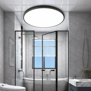 SAINAHEPAN | Moisture Resistant Waterproof Bathroom Ceiling Light