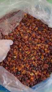 [ ẢNH THẬT ]  500G Nhưa Đào ( Lệ Đào )Thiên Nhiên –  Thanh Mát – Nguyên Liệu Nấu Chè Dưỡng Nhan