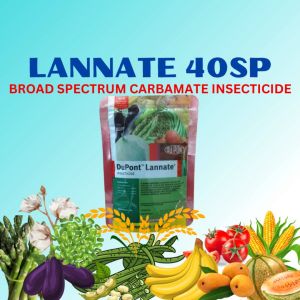 LANNATE - BROAD SPECTRUM CARBAMATE INSECTICIDE