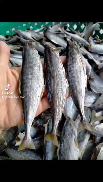 Khô cá thu mặn, khô cá thu loại nhỏ-thịt bùi tươi vị vừa ăn- (Tặng Kèm Mắm Tắc Chua Cay Nhà Làm)